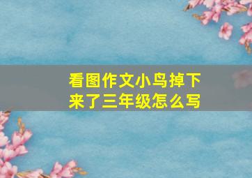 看图作文小鸟掉下来了三年级怎么写