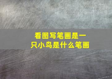 看图写笔画是一只小鸟是什么笔画