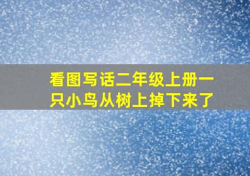 看图写话二年级上册一只小鸟从树上掉下来了