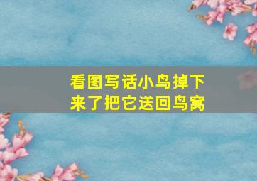 看图写话小鸟掉下来了把它送回鸟窝