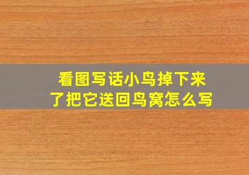 看图写话小鸟掉下来了把它送回鸟窝怎么写