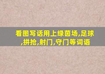 看图写话用上绿茵场,足球,拼抢,射门,守门等词语