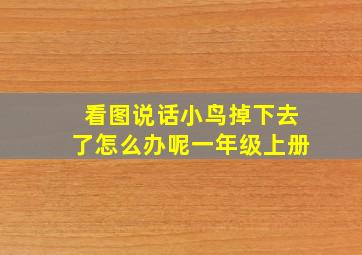 看图说话小鸟掉下去了怎么办呢一年级上册