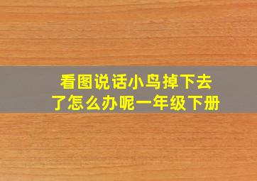 看图说话小鸟掉下去了怎么办呢一年级下册