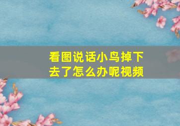 看图说话小鸟掉下去了怎么办呢视频