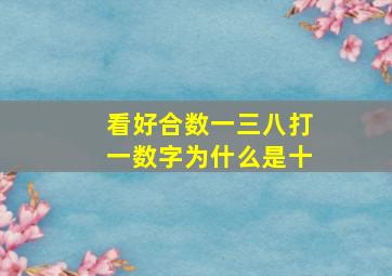 看好合数一三八打一数字为什么是十