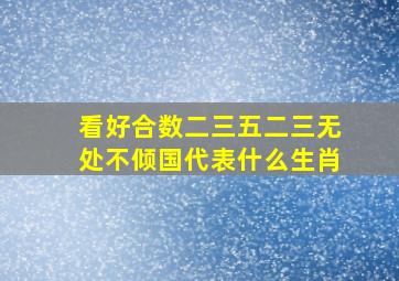 看好合数二三五二三无处不倾国代表什么生肖