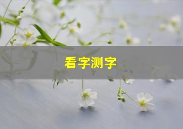 看字测字