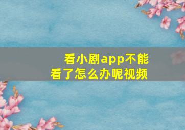 看小剧app不能看了怎么办呢视频