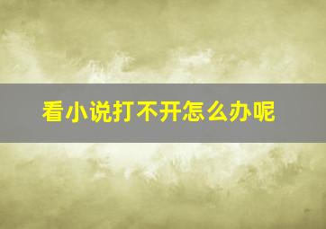 看小说打不开怎么办呢