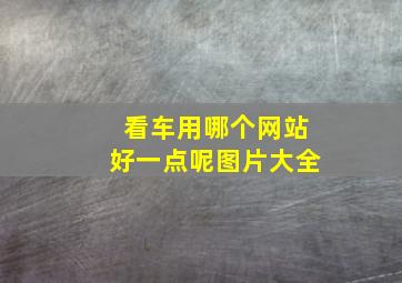 看车用哪个网站好一点呢图片大全