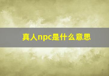 真人npc是什么意思