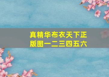 真精华布衣天下正版图一二三四五六