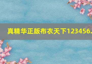 真精华正版布衣天下123456.