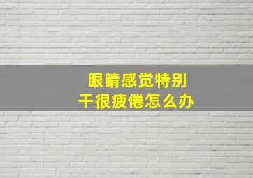 眼睛感觉特别干很疲倦怎么办