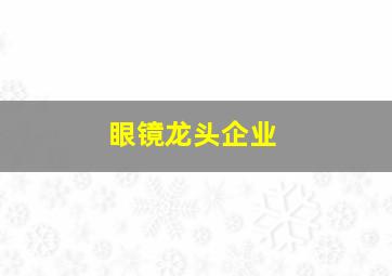 眼镜龙头企业