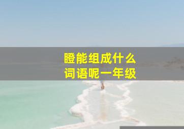 瞪能组成什么词语呢一年级