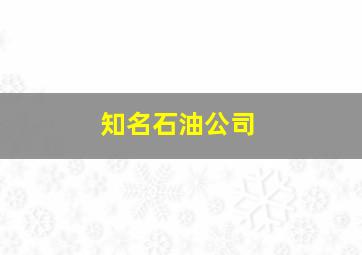 知名石油公司