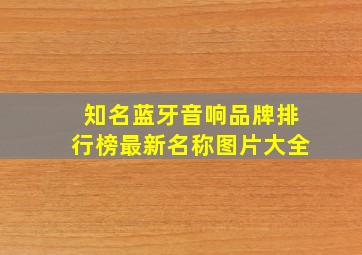 知名蓝牙音响品牌排行榜最新名称图片大全