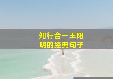 知行合一王阳明的经典句子