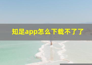 知足app怎么下载不了了