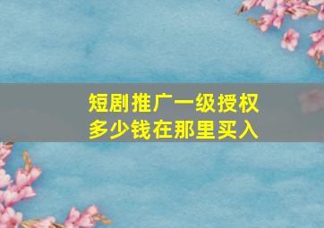 短剧推广一级授权多少钱在那里买入