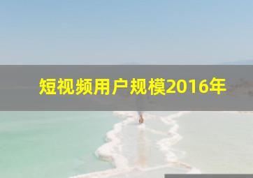 短视频用户规模2016年