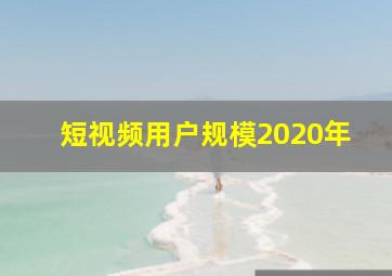 短视频用户规模2020年