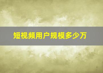 短视频用户规模多少万