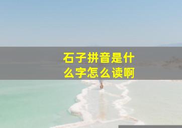 石子拼音是什么字怎么读啊