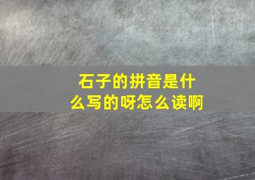 石子的拼音是什么写的呀怎么读啊