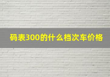 码表300的什么档次车价格