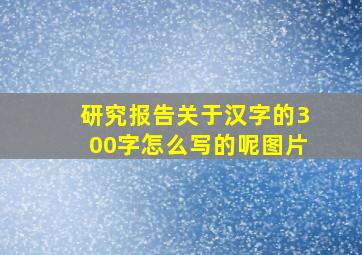 研究报告关于汉字的300字怎么写的呢图片