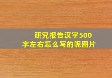 研究报告汉字500字左右怎么写的呢图片