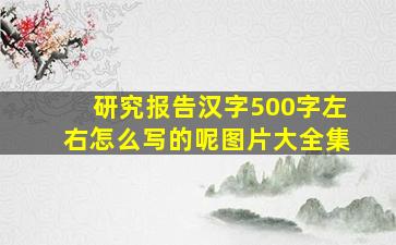 研究报告汉字500字左右怎么写的呢图片大全集