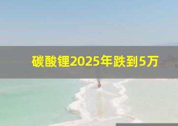 碳酸锂2025年跌到5万