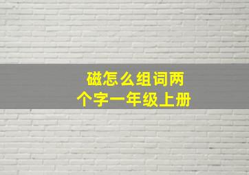 磁怎么组词两个字一年级上册