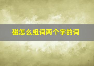 磁怎么组词两个字的词