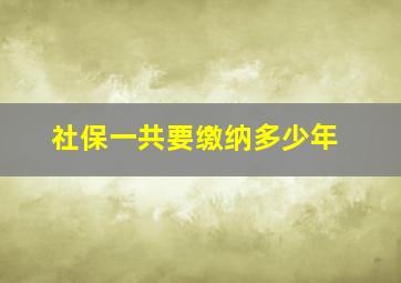 社保一共要缴纳多少年