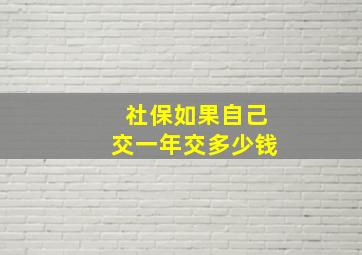 社保如果自己交一年交多少钱