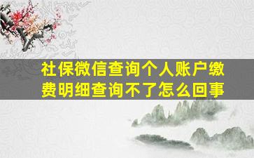 社保微信查询个人账户缴费明细查询不了怎么回事