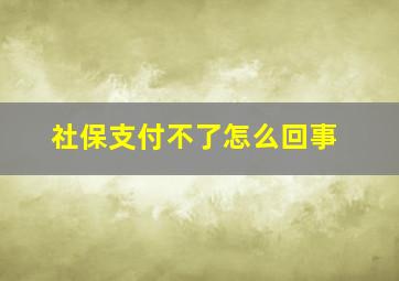 社保支付不了怎么回事