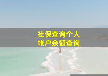 社保查询个人帐户余额查询