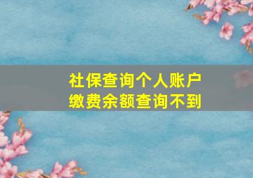 社保查询个人账户缴费余额查询不到