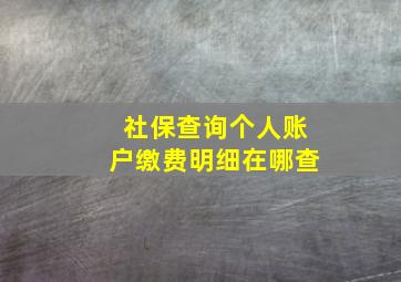 社保查询个人账户缴费明细在哪查