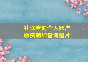 社保查询个人账户缴费明细查询图片