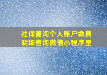 社保查询个人账户缴费明细查询微信小程序里