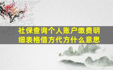 社保查询个人账户缴费明细表格借方代方什么意思