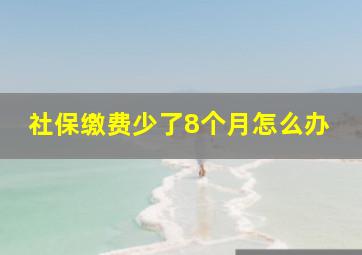 社保缴费少了8个月怎么办