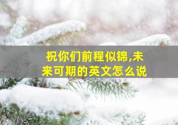 祝你们前程似锦,未来可期的英文怎么说